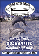 Downtown Tampa Florida - Official Discover In-Town Guide & Map ...